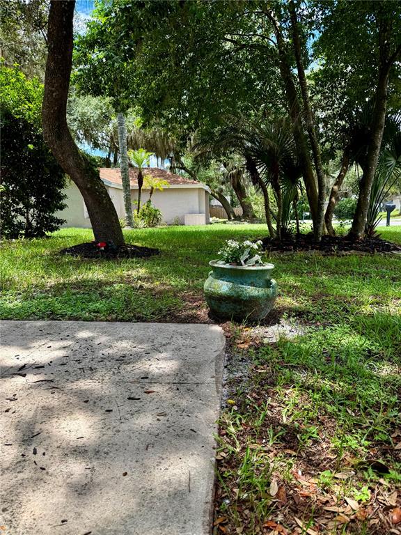 A concrete patio overlooks a grassy yard with trees and a decorative potted plant — 113 WINDING RIDGE DRIVE, SANFORD, FL