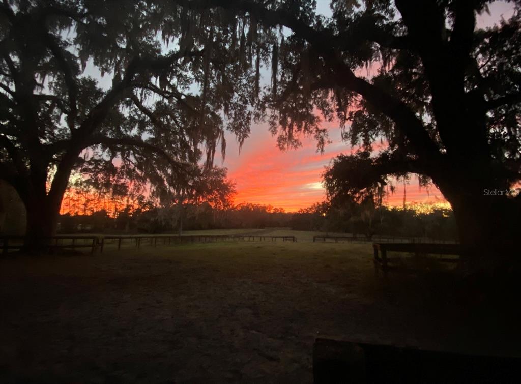 A vibrant sunset glows behind large oak trees overlooking a fenced pasture — 0 N HWY US 27, OCALA, FL