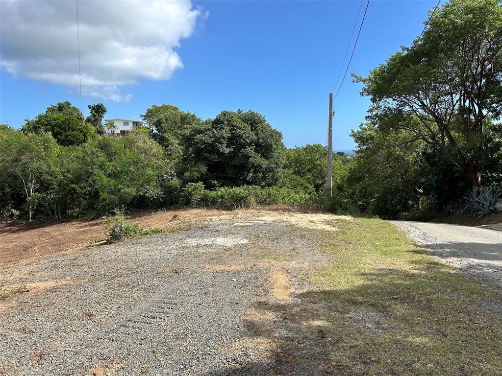LA LLAVE, VIEQUES, PR — photo 4 of 16