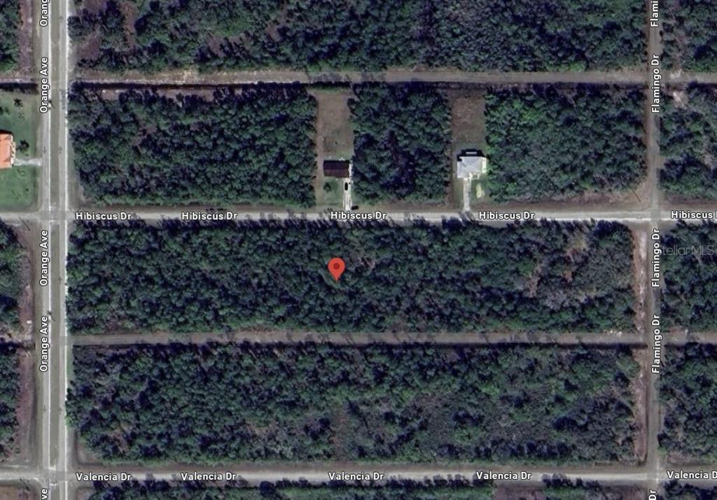 This is an aerial map view of a wooded residential lot marked with a pin — 713 HIBISCUS DRIVE, INDIAN LAKE ESTATES, FL