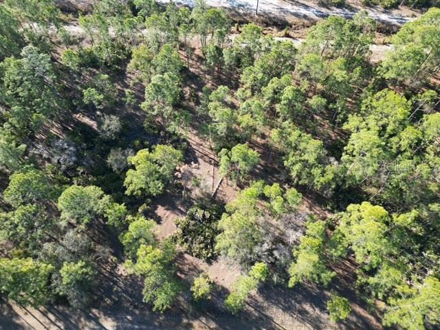 An aerial view shows a wooded lot with scattered pine trees and patches of vegetation — 707 LAGUNA DRIVE, INDIAN LAKE ESTATES, FL