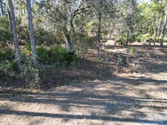A wooded lot with scattered trees and low-lying vegetation under a bright sky — 707 LAGUNA DRIVE, INDIAN LAKE ESTATES, FL