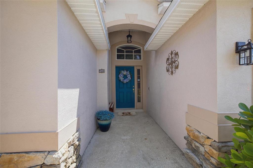 The exterior entryway features a blue front door, a stone base, and a potted plant — 7113 COLONY POINTE DRIVE, RIVERVIEW, FL