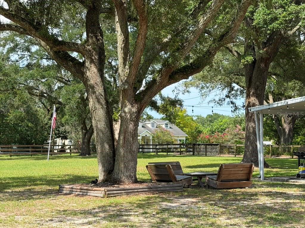 A large tree shades a grassy backyard with wooden lounge chairs and a distant house — 7320 SW 22ND STREET, OCALA, FL