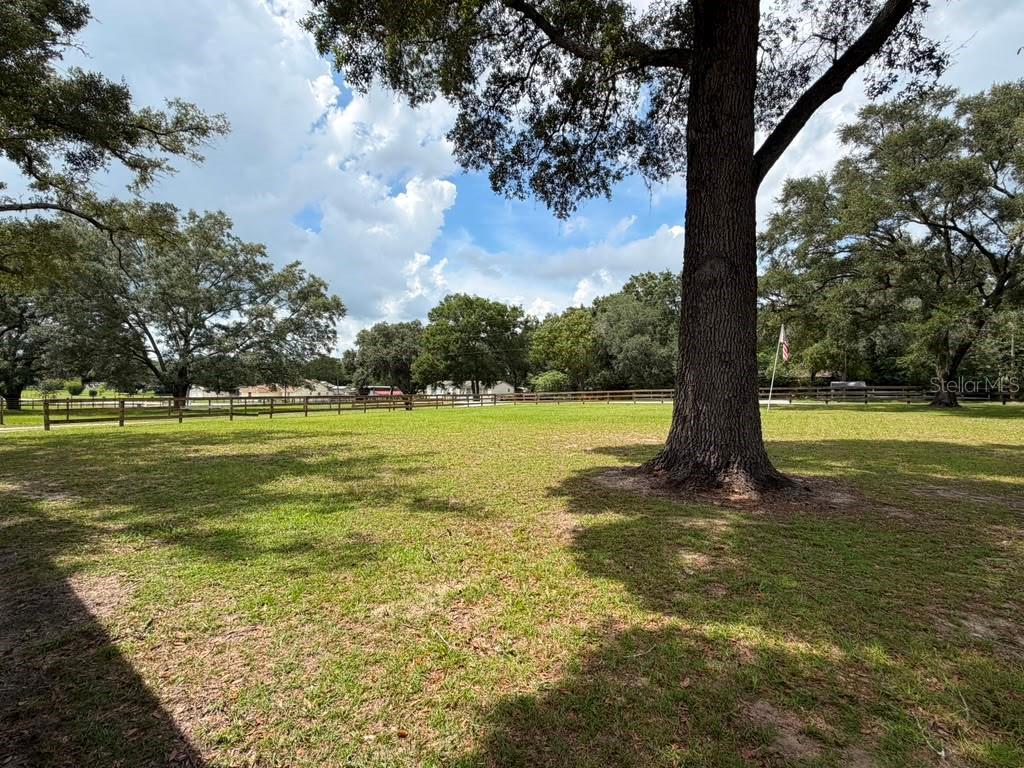 A large grassy yard features a prominent tree and a wooden fence under a cloudy sky — 7320 SW 22ND STREET, OCALA, FL
