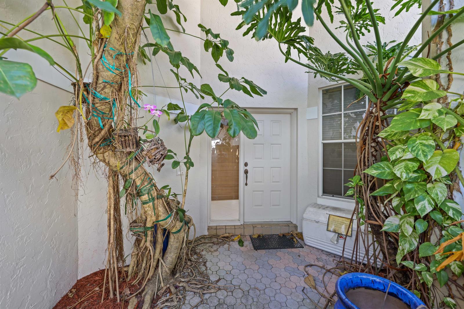 A front entryway features a white door, a large tree, and potted plants on pavers — 2502 NW 66th Drive, Boca Raton FL 33496, BOCA RATON, FL