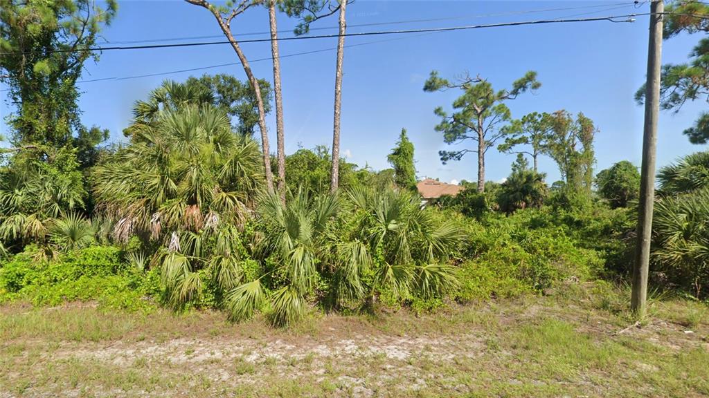 A vacant, overgrown lot features several palm trees and dense vegetation under a clear sky — RHUMBA TERRACE Lot 29, NORTH PORT, FL