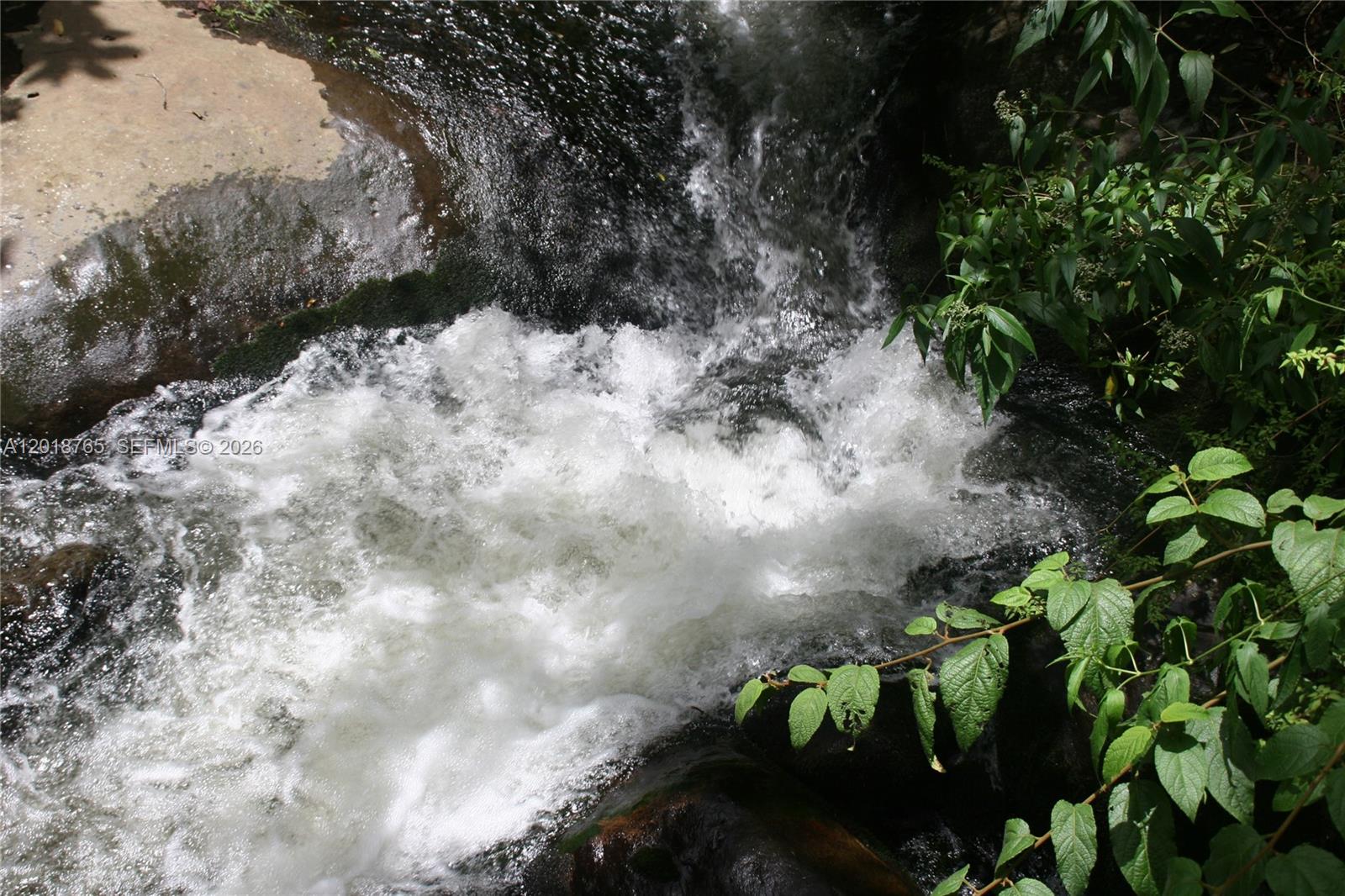 A small, rushing waterfall flows over dark rocks surrounded by lush green foliage — CERRO PUNTA, Panama, Rep of Panama, FL