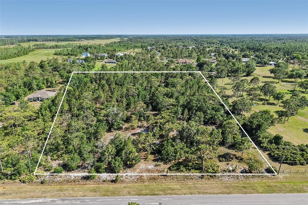 An aerial view shows a rectangular, wooded lot outlined in white next to a road — OBERLY PARKWAY, ORLANDO, FL