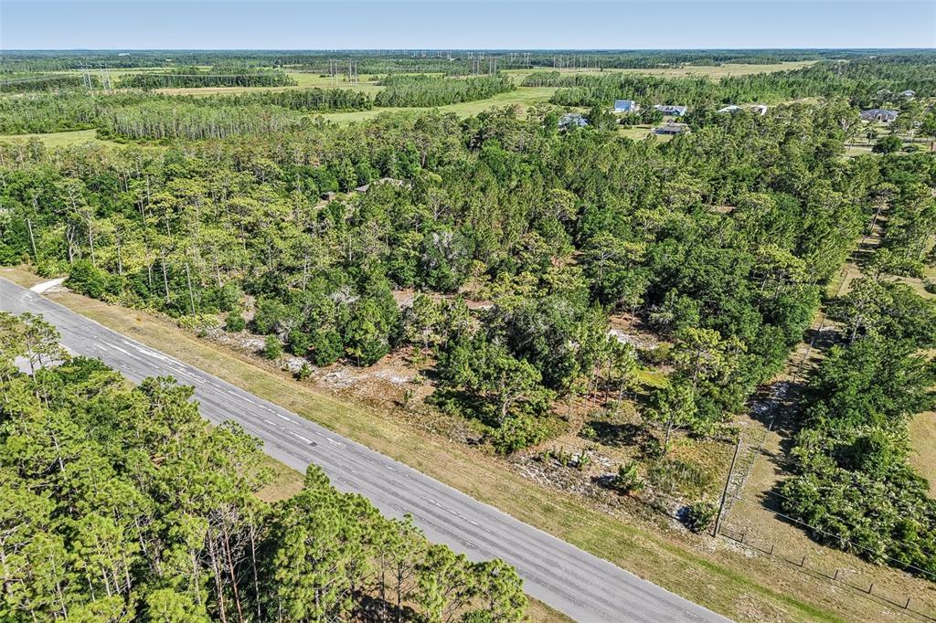 An aerial view shows a paved road bordering a wooded lot with scattered pine trees — OBERLY PARKWAY, ORLANDO, FL