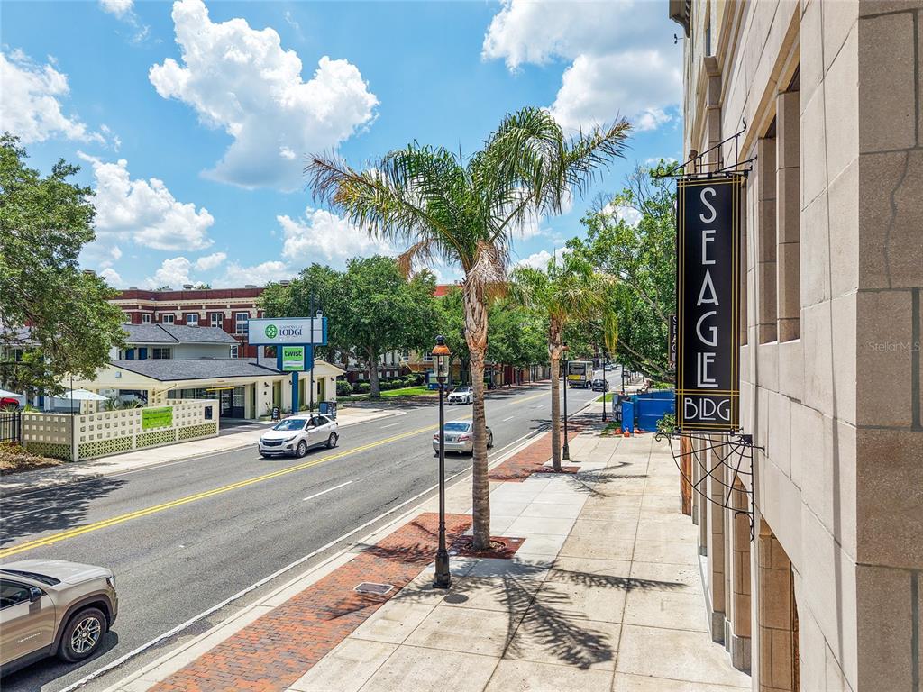 An elevated street view shows a sidewalk, palm trees, and the Seagle Building sign — 408 W UNIVERSITY AVENUE UNIT 7B, GAINESVILLE, FL