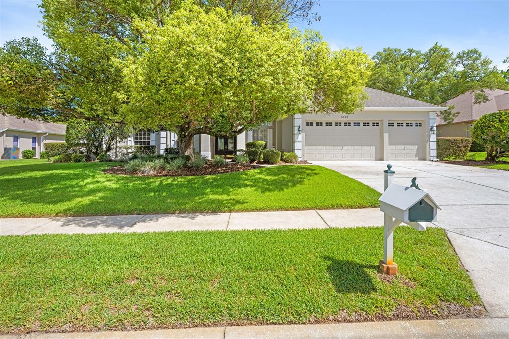 A single-story house with a two-car garage, a large tree, and a mailbox in front — 5399 CHAMPIONSHIP CUP LANE, SPRING HILL, FL