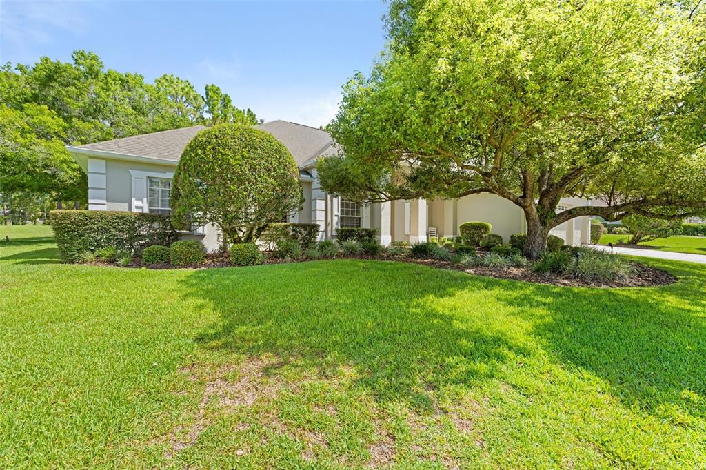 A single-story house with a large tree and manicured landscaping in the front yard — 5399 CHAMPIONSHIP CUP LANE, SPRING HILL, FL
