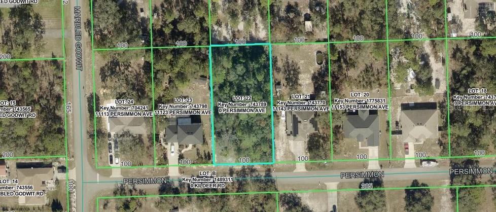 This is an aerial map showing a vacant lot highlighted in blue among residential properties — PERSIMMON AVENUE, WEEKI WACHEE, FL