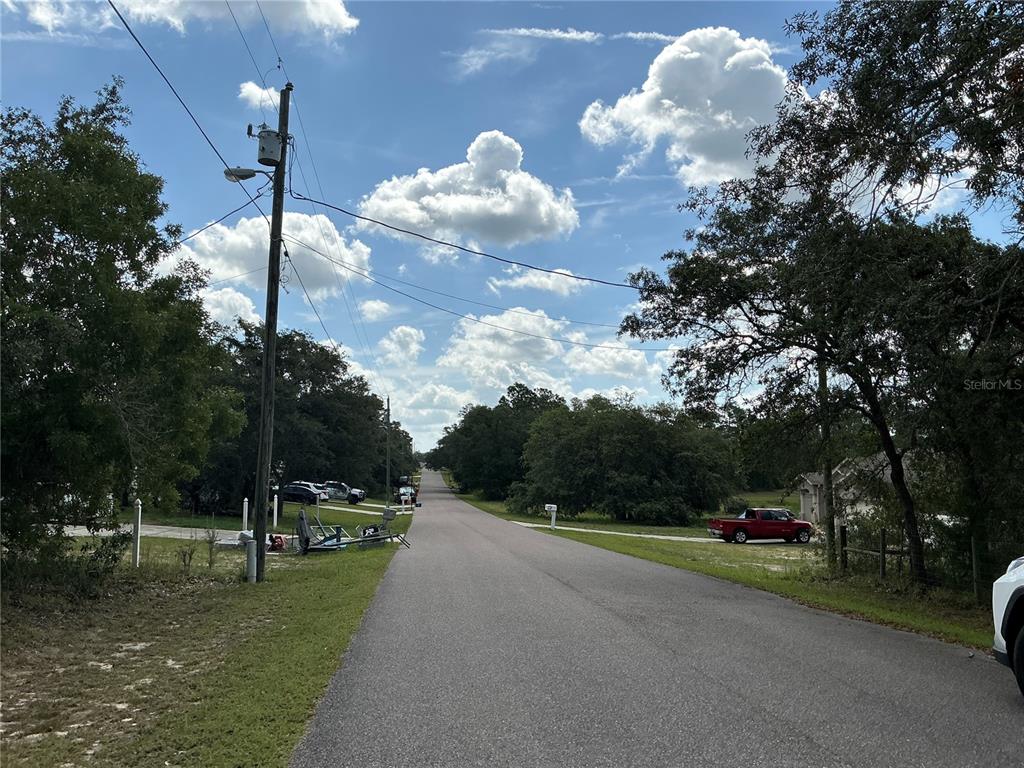 A paved road stretches into the distance, flanked by trees, utility poles, and residential properties — PERSIMMON AVENUE, WEEKI WACHEE, FL