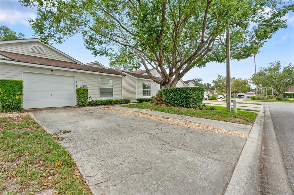 A single-story residential building with a garage, concrete driveway, and a large shade tree — 21506 GRAY TERN COURT, LUTZ, FL