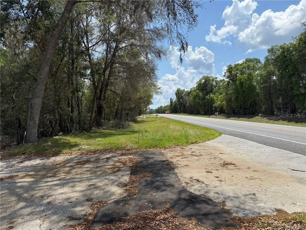 A paved driveway entrance leads to a grassy roadside area bordered by dense trees — 5765 N CARL G ROSE HIGHWAY, HERNANDO, FL