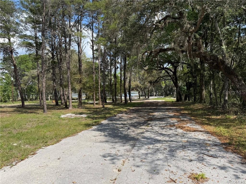 A paved road leads through a wooded area with tall trees and Spanish moss — 5765 N CARL G ROSE HIGHWAY, HERNANDO, FL
