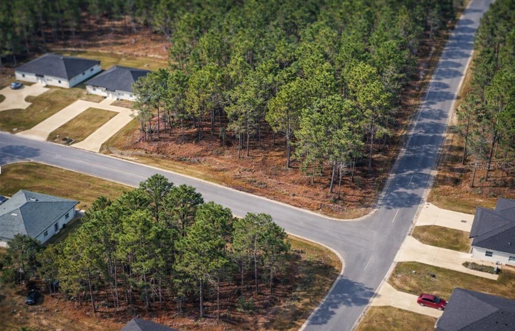 An aerial view shows a corner lot with pine trees situated between suburban residential streets — 9536 N CAMEL DRIVE, DUNNELLON, FL