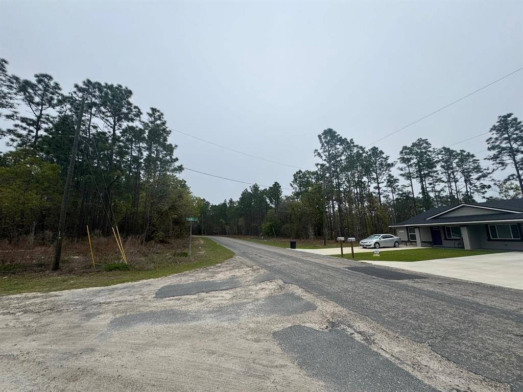 A paved road leads past a wooded lot and a modern house under a cloudy sky — 9536 N CAMEL DRIVE, DUNNELLON, FL