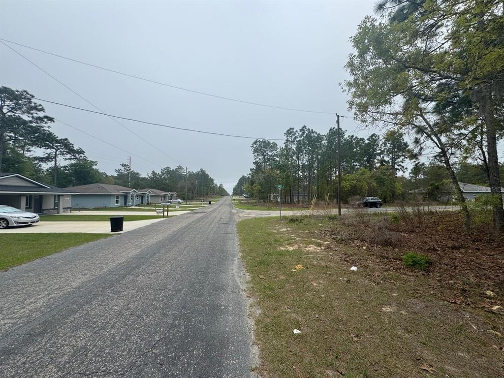 A paved road stretches into the distance past residential houses and a wooded lot — 9536 N CAMEL DRIVE, DUNNELLON, FL