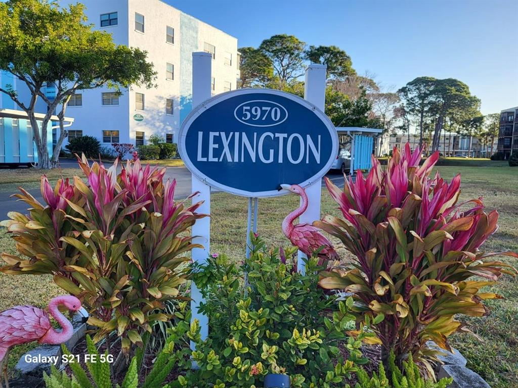 An oval sign reading Lexington 5970 stands in front of a building with tropical plants — 5970 80TH STREET N UNIT 101, ST PETERSBURG, FL