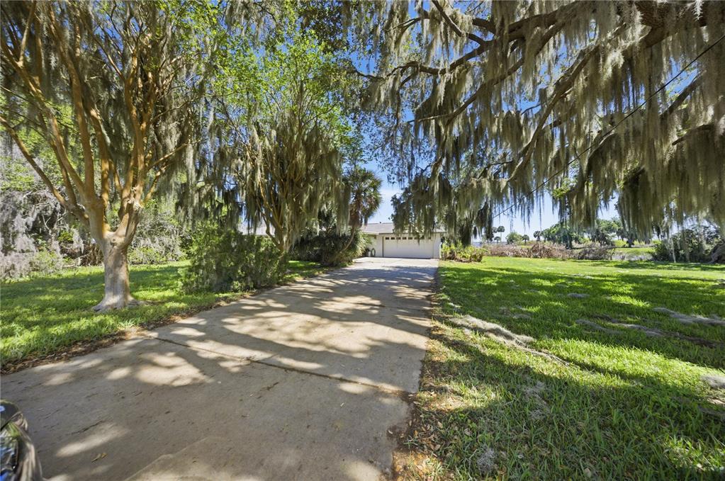 A concrete driveway leads toward a house shaded by large trees with hanging Spanish moss — 21407 NW 39TH COURT, MICANOPY, FL