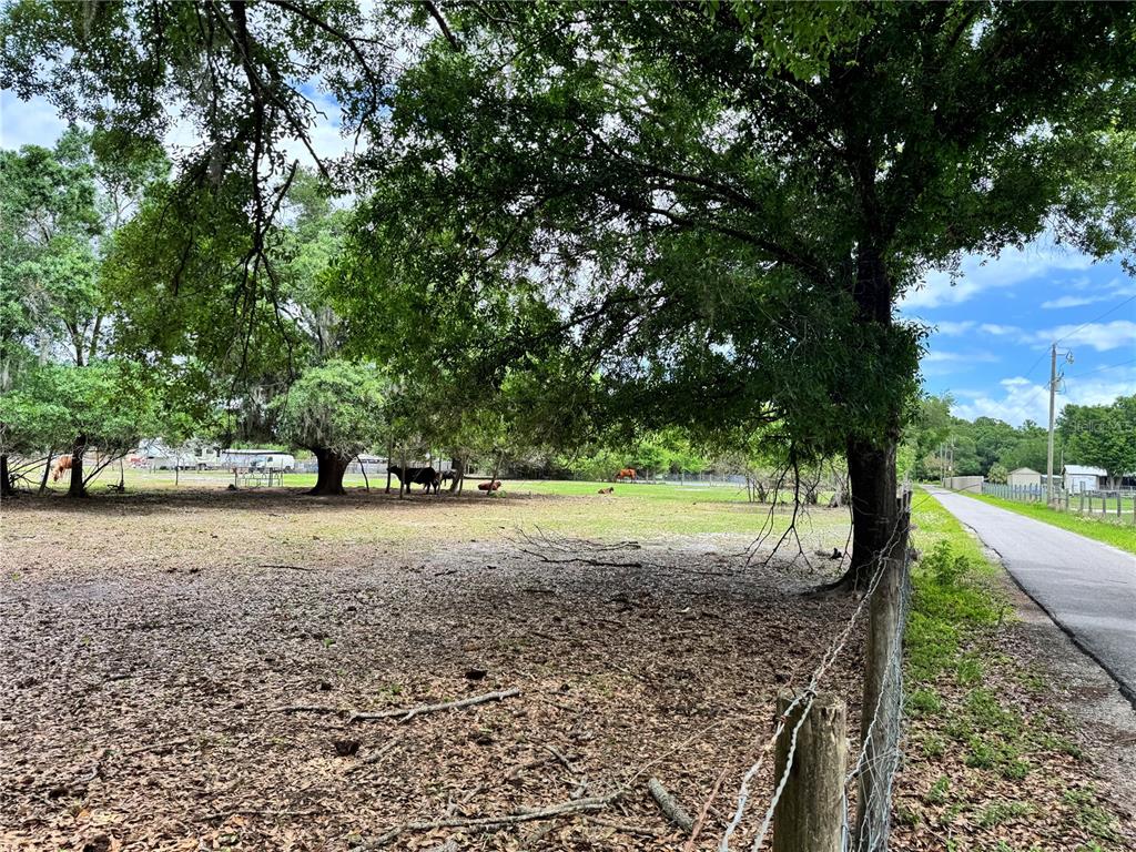 A grassy pasture with several horses and cattle is bordered by a wire fence — 1804 ZIPPERER ROAD, BRADENTON, FL