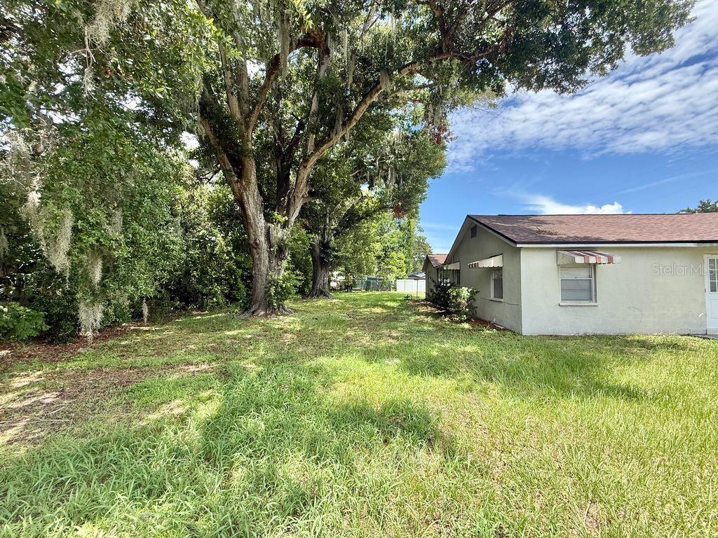 A grassy yard sits beside a single-story house with large, moss-draped oak trees — 123 PENNSYLVANIA AVENUE, WINTER GARDEN, FL
