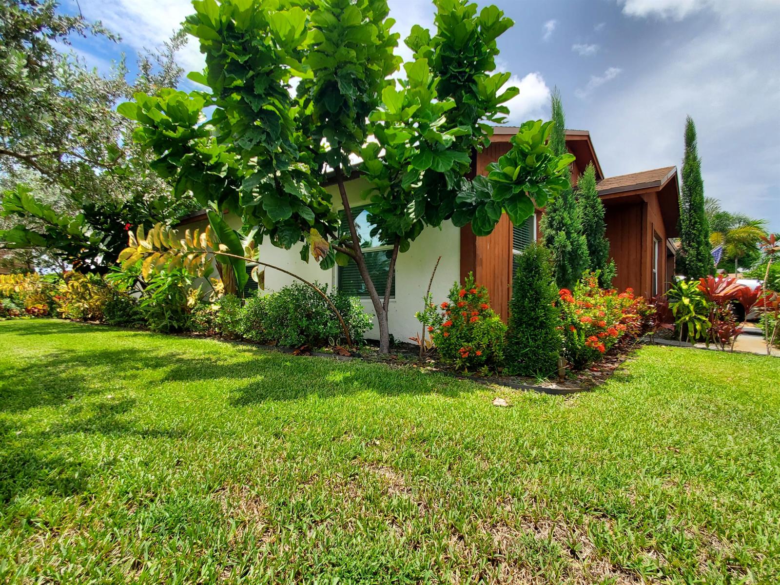 A single-story house with wood siding and a large fiddle leaf fig tree in front — 558 SE 27th Terrace # 558, Boynton Beach FL 33435, BOYNTON BEACH, FL