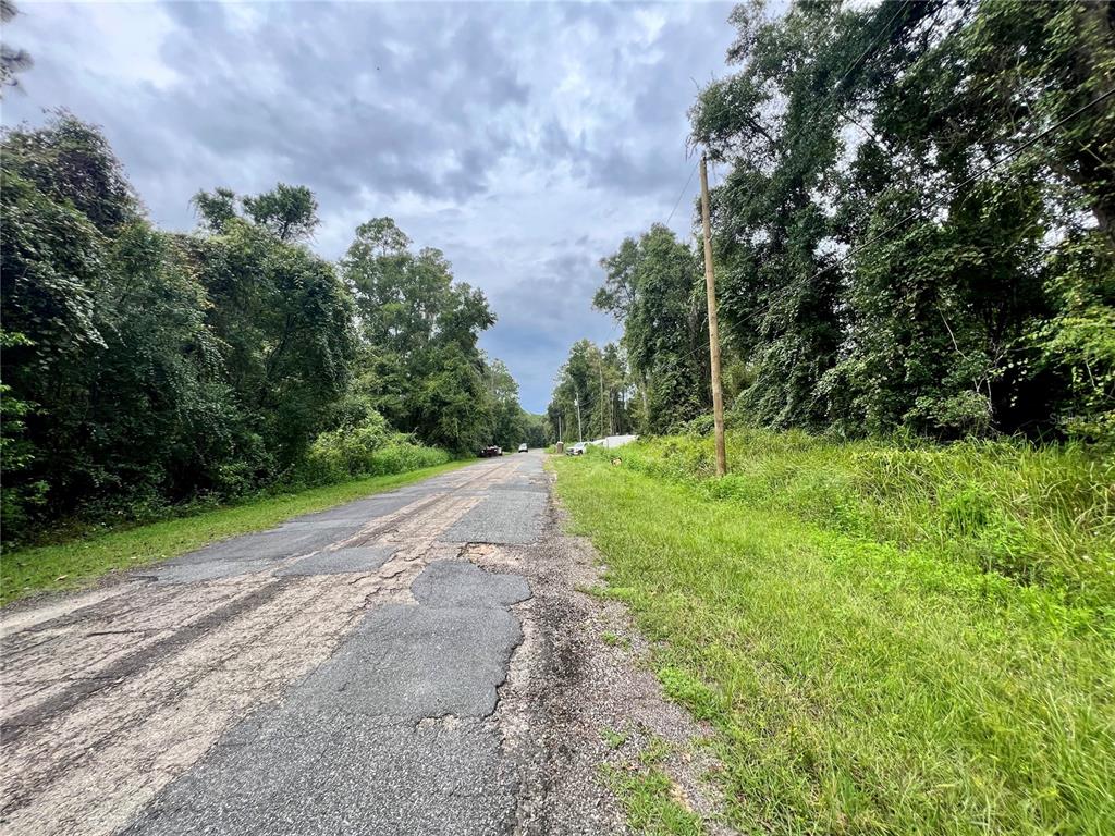 A narrow, weathered asphalt road runs through a wooded area under a cloudy sky — 303 W ERIDANI COURT, CITRUS SPRINGS, FL