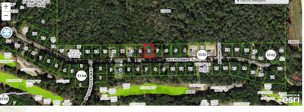 This is a satellite map showing a residential lot highlighted in red on W Eridani Ct — 303 W ERIDANI COURT, CITRUS SPRINGS, FL