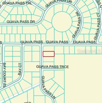 This is a map showing a highlighted parcel of land near Guava Pass — GUAVA PASS LANE, OCKLAWAHA, FL