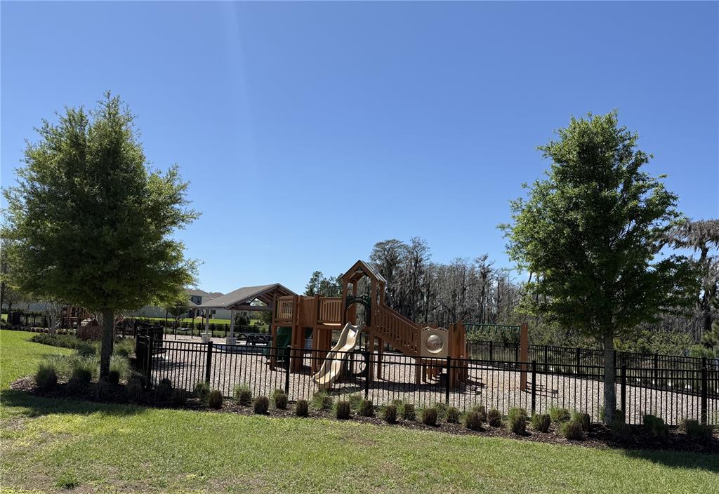 A playground with a slide and climbing structure sits inside a fenced area near trees — 13617 SALAMANDER STREET, WINTER GARDEN, FL