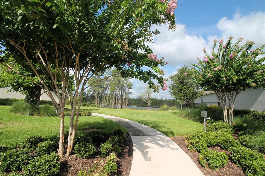 A paved walkway winds through a grassy lawn between two flowering trees toward a lake — 13617 SALAMANDER STREET, WINTER GARDEN, FL