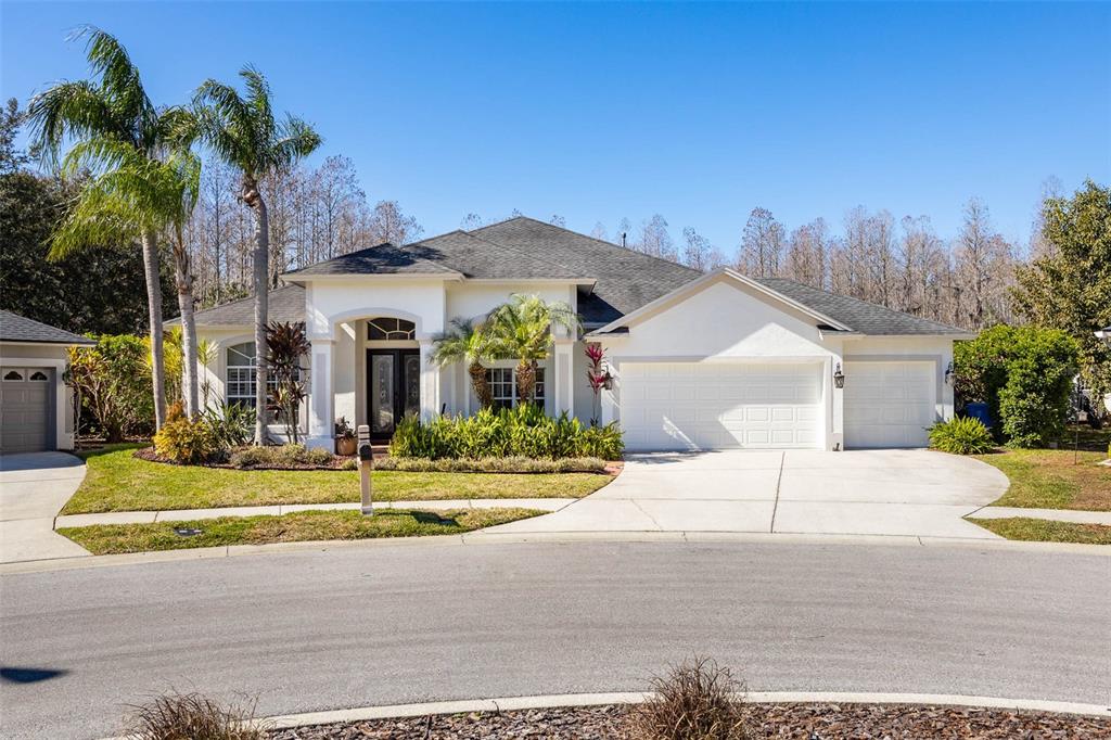 19817 GLAZING GLOBE LANE