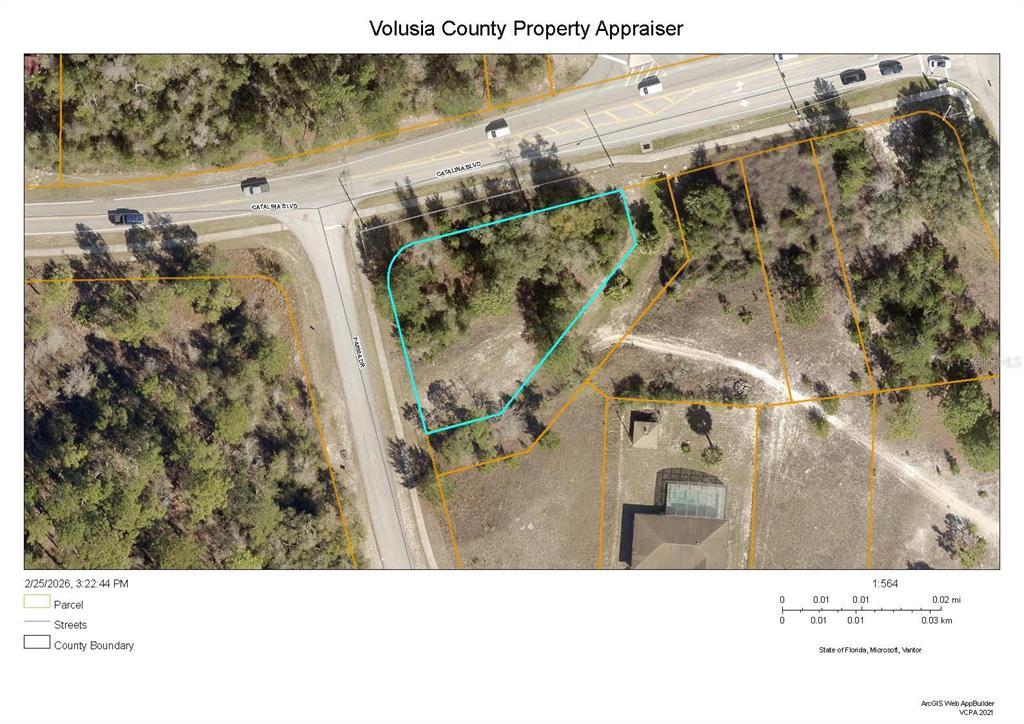 This is a property map showing a vacant, wooded lot outlined in blue at an intersection — 2950 CATALINA BOULEVARD, DELTONA, FL