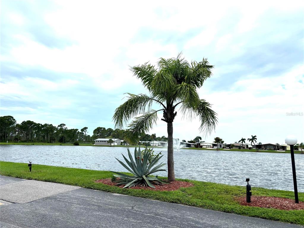 A palm tree and agave plant sit on a grassy lawn beside a lake — 705 DEL LUNA DRIVE, NORTH PORT, FL