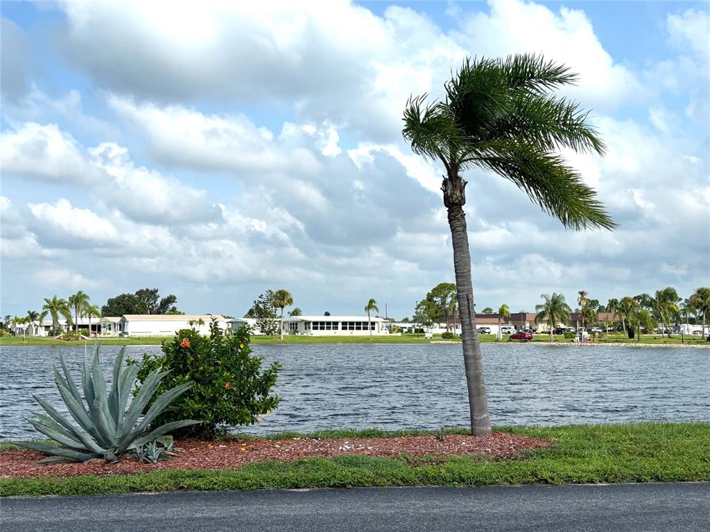 A palm tree and a large agave plant overlook a lake with houses in the background — 705 DEL LUNA DRIVE, NORTH PORT, FL