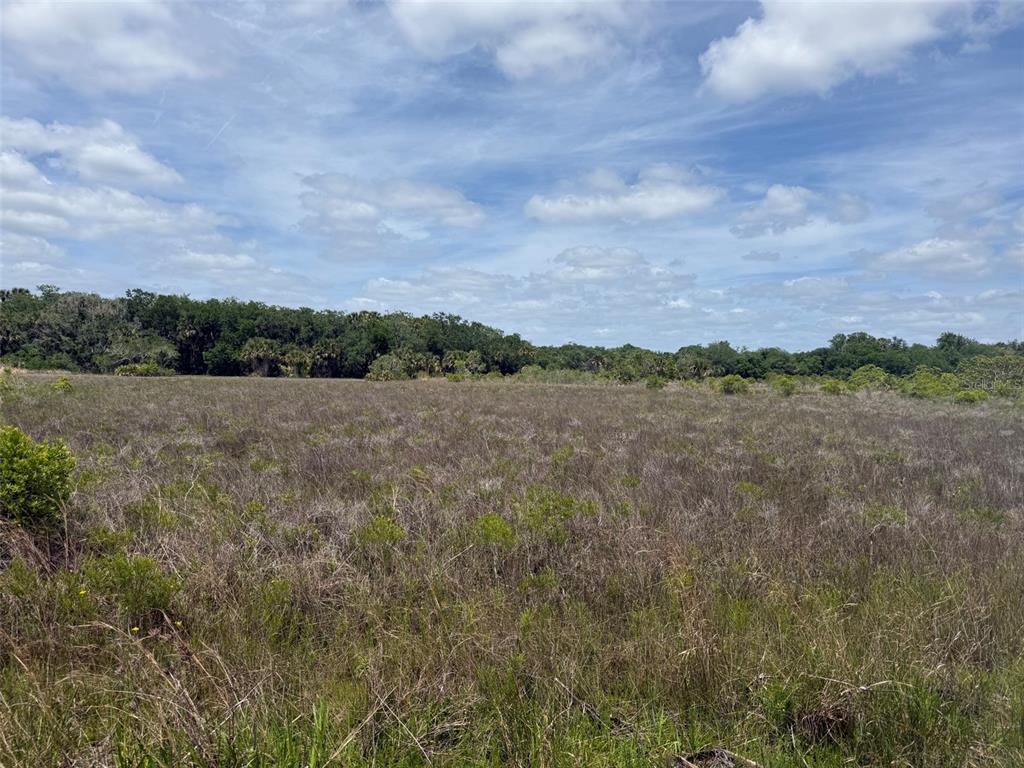 A wide, grassy field stretches toward a dense line of trees under a cloudy sky — 15575 NW 296TH STREET, OKEECHOBEE, FL