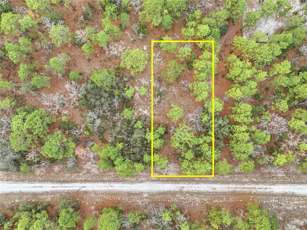 CAYMAN ROAD, WEEKI WACHEE, FL — photo 4 of 6
