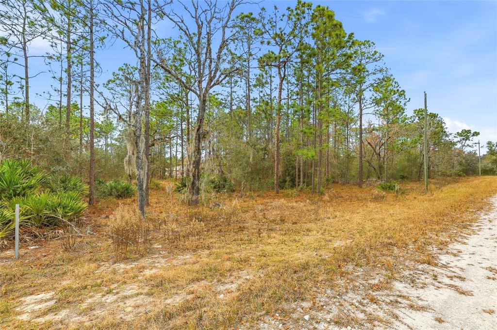 CAYMAN ROAD, WEEKI WACHEE, FL — photo 5 of 6