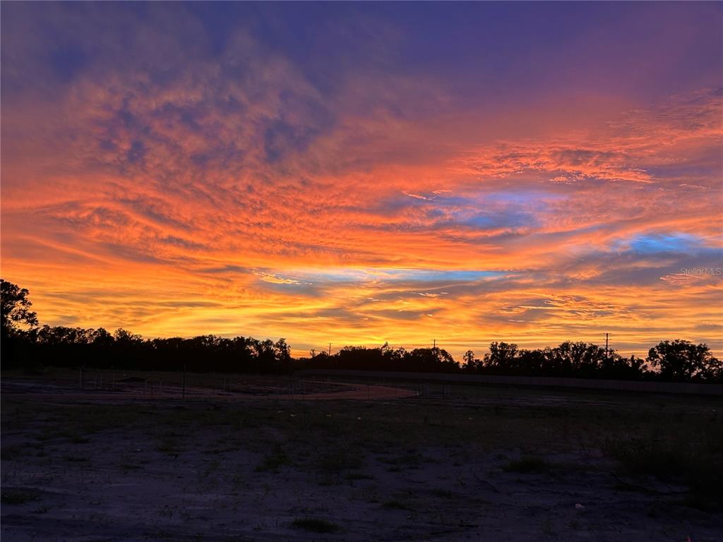 A vibrant sunset glows over a dark, silhouetted treeline and an open, undeveloped field — 12211 VIOLET JASPER DRIVE, PARRISH, FL