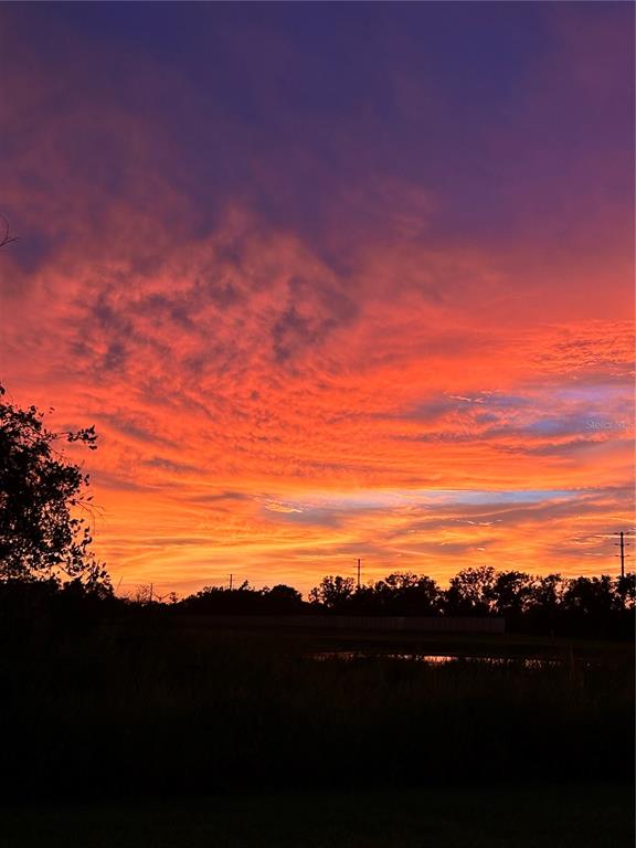 A vibrant orange and purple sunset glows over a dark silhouette of trees and water — 12211 VIOLET JASPER DRIVE, PARRISH, FL