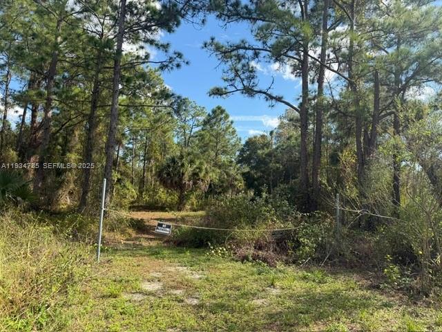 A dirt path leads into a wooded lot blocked by a rope and a sign — 345 N ISORA, Clewiston FL 33440, CLEWISTON, FL