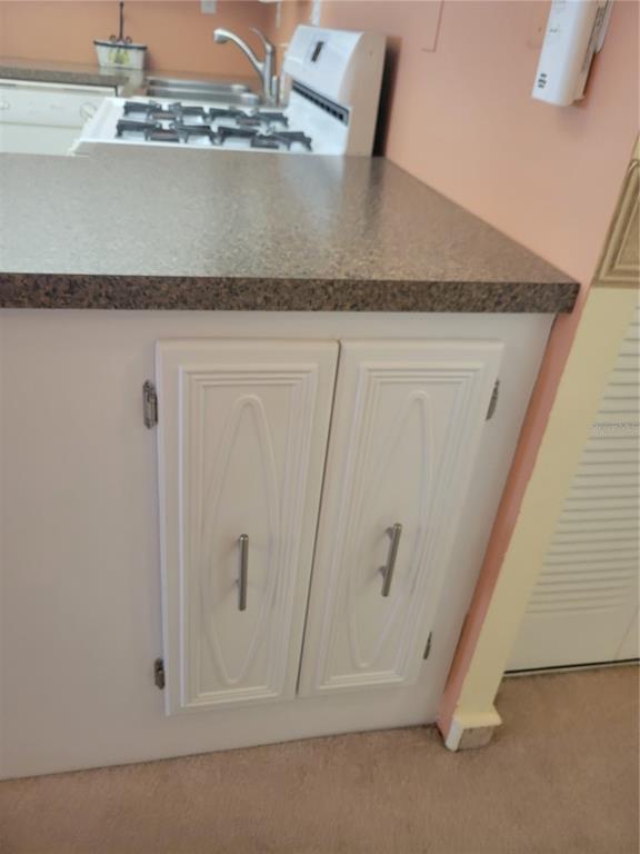 A kitchen peninsula features white cabinets with decorative molding and a brown speckled countertop — 9950 62ND TERRACE N UNIT 417, ST PETERSBURG, FL