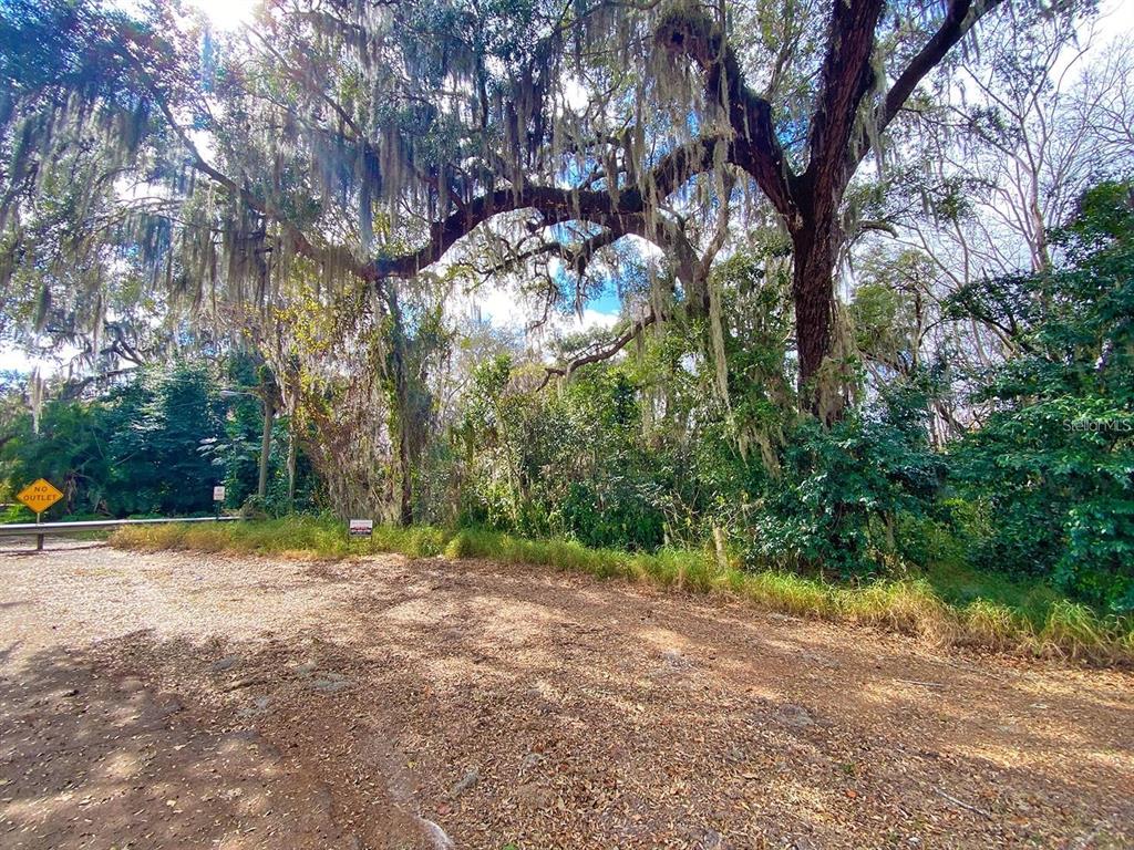 3RD ST, MONTVERDE, FL — photo 2 of 15