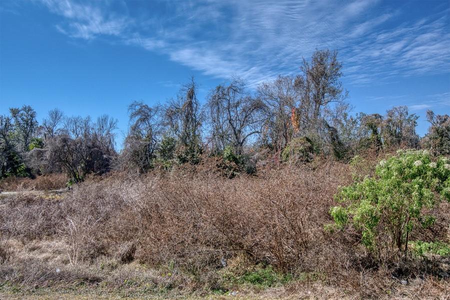 3RD ST, MONTVERDE, FL — photo 5 of 15
