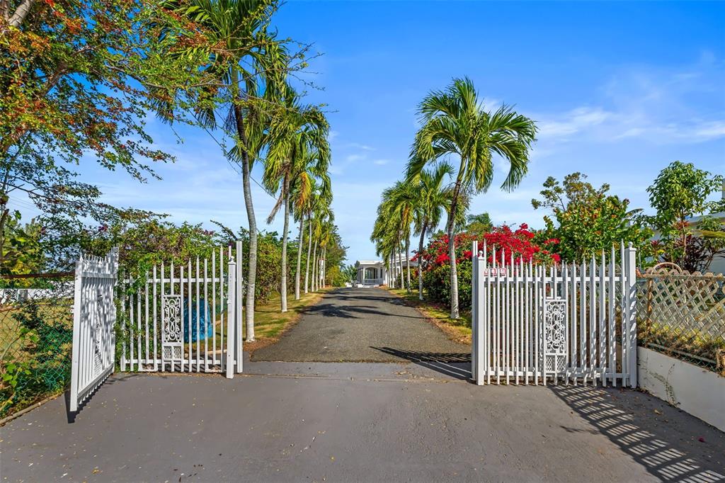 A paved driveway leads through an open white gate lined with palm trees — KM 1.1 466, ISABELA, PR