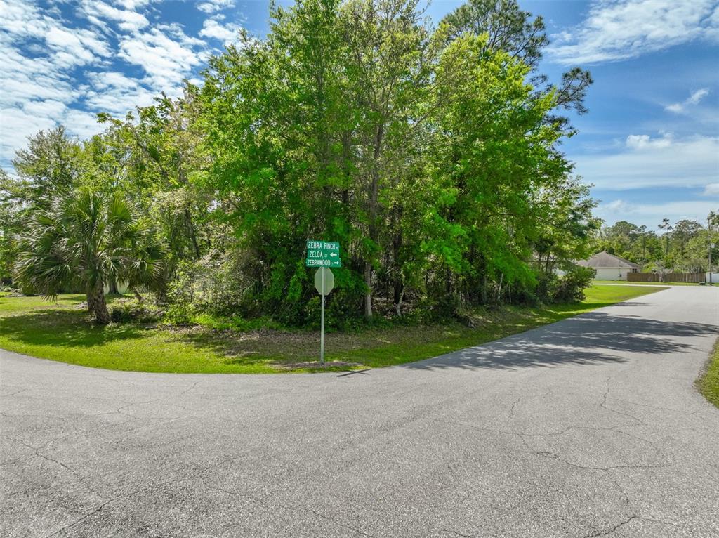 A street sign stands at a fork in a paved road surrounded by dense trees — 2 ZELDA COURT, PALM COAST, FL